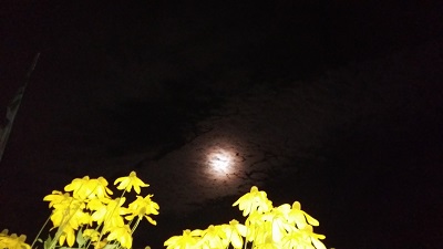 Mond.jpg